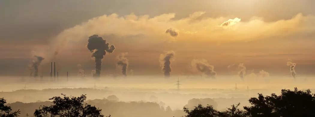 Is it Important to Calculate Carbon Emissions?