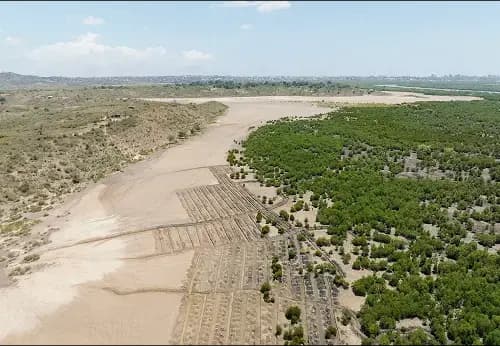 Aerial view of a reforestation project in Kenya