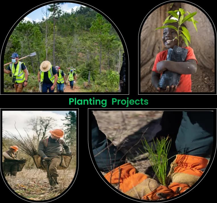Planting projects