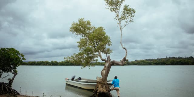 This is the sample image for the East African Mangroves Project of Plantd