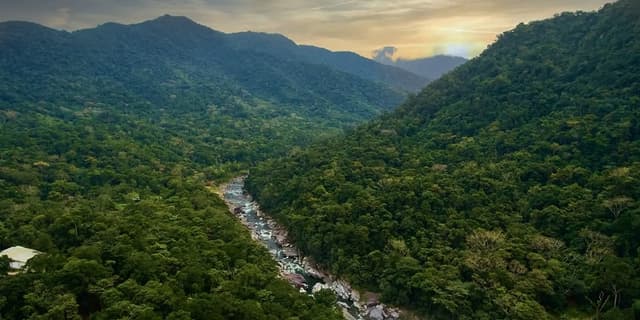 This is the sample image for the Honduras Reforestation Project of Plantd