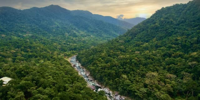 This is the sample image for the Honduras Reforestation Project of Plantd