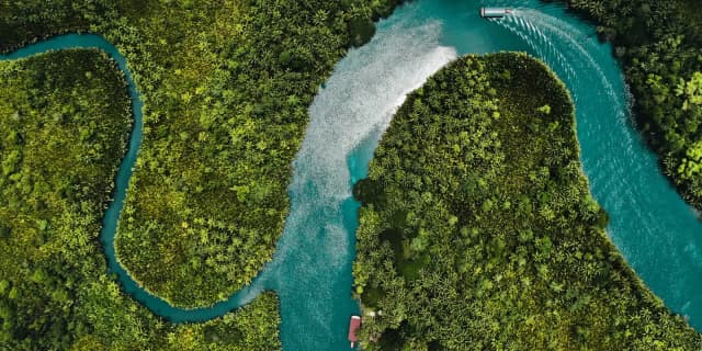 This is the sample image for the Philippines Reforestation Project of Plantd