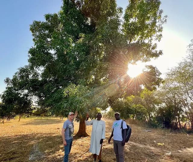 senegal-agroforestry-about-image
