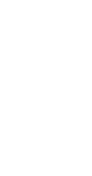 100 percent icon