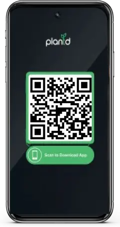 Scan to download app