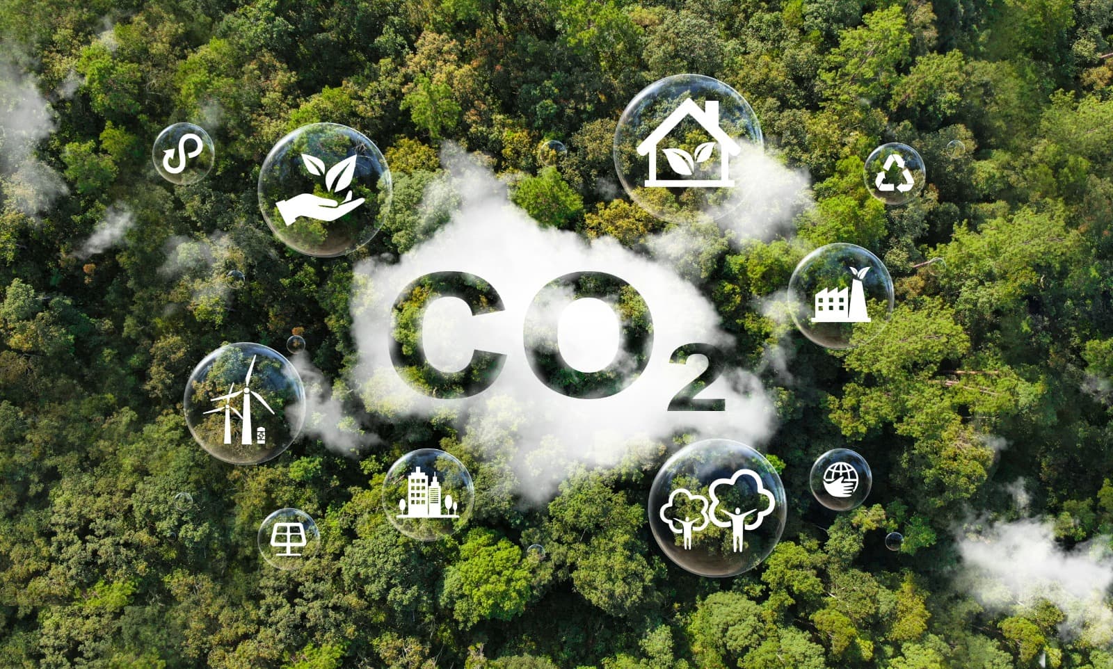 Carbon Offsetting for a Greener Future