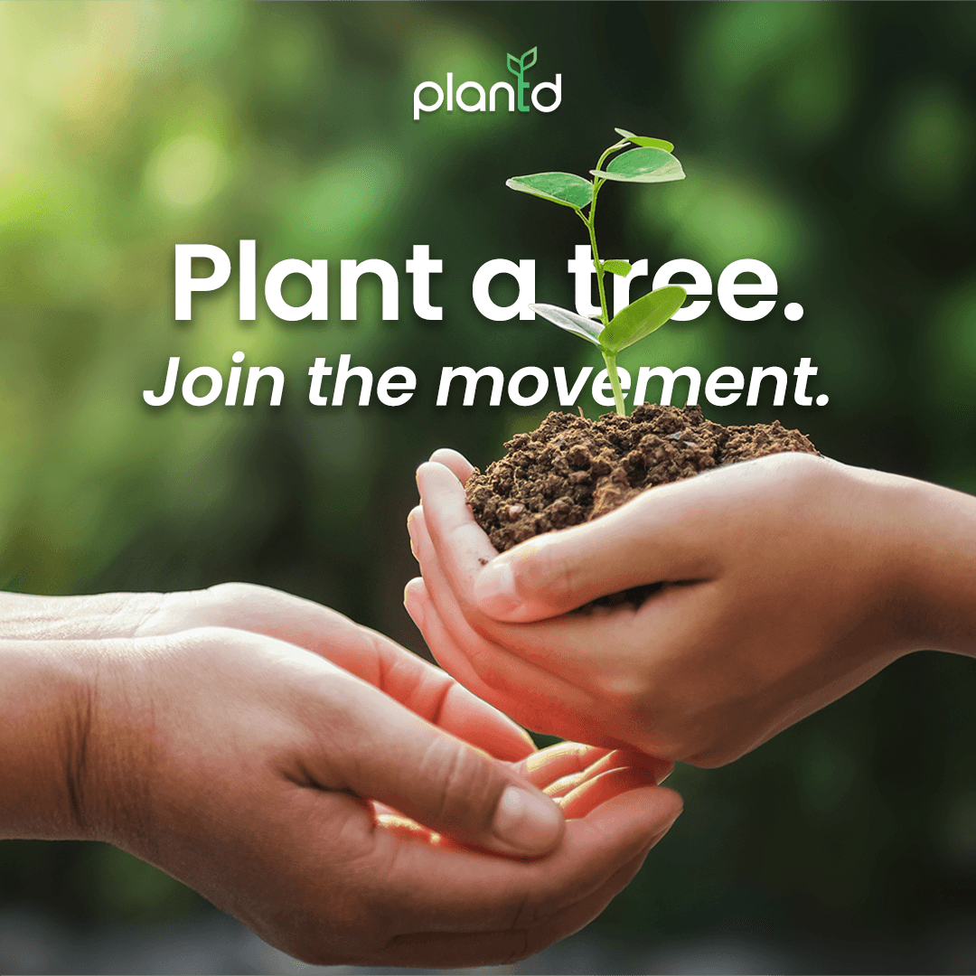 The Plantd App: Your Gateway to a Greener Tomorrow