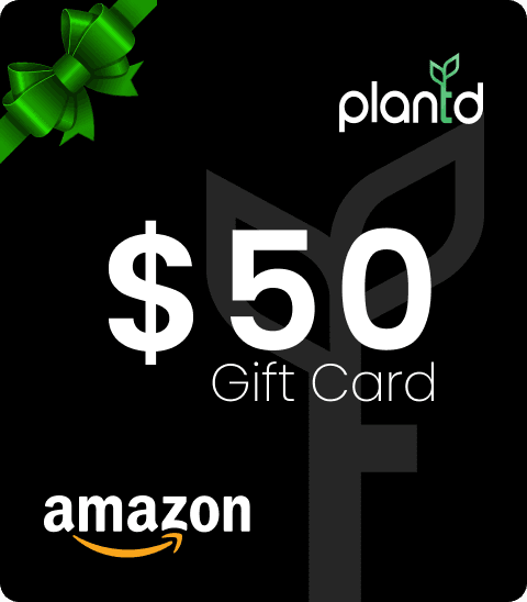 Plantd Giveaway - $50 Gift Cards for 4 Winners!