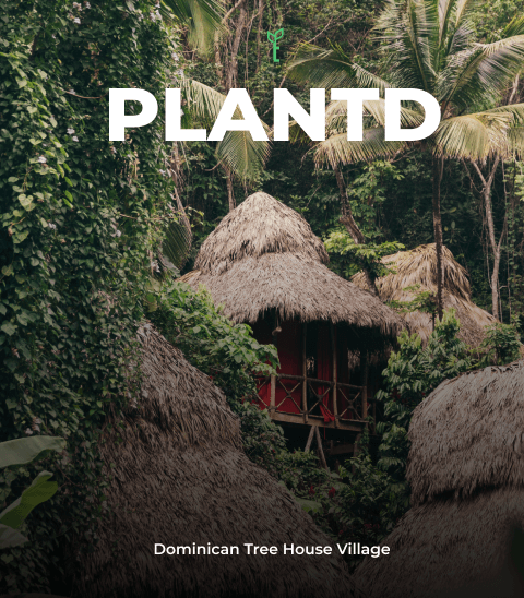 Plantd Giveaway - Tree House Village Exclusive!