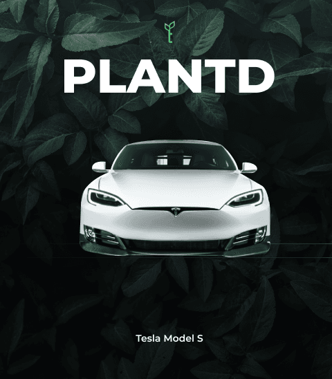 Plantd Giveaway - Go Electric with Tesla!