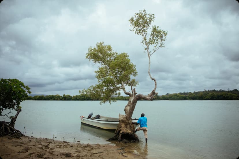 East African Mangroves