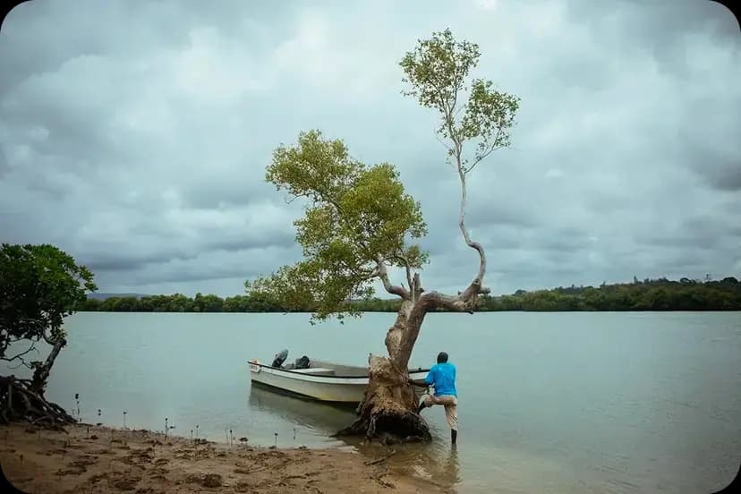 East African Mangroves