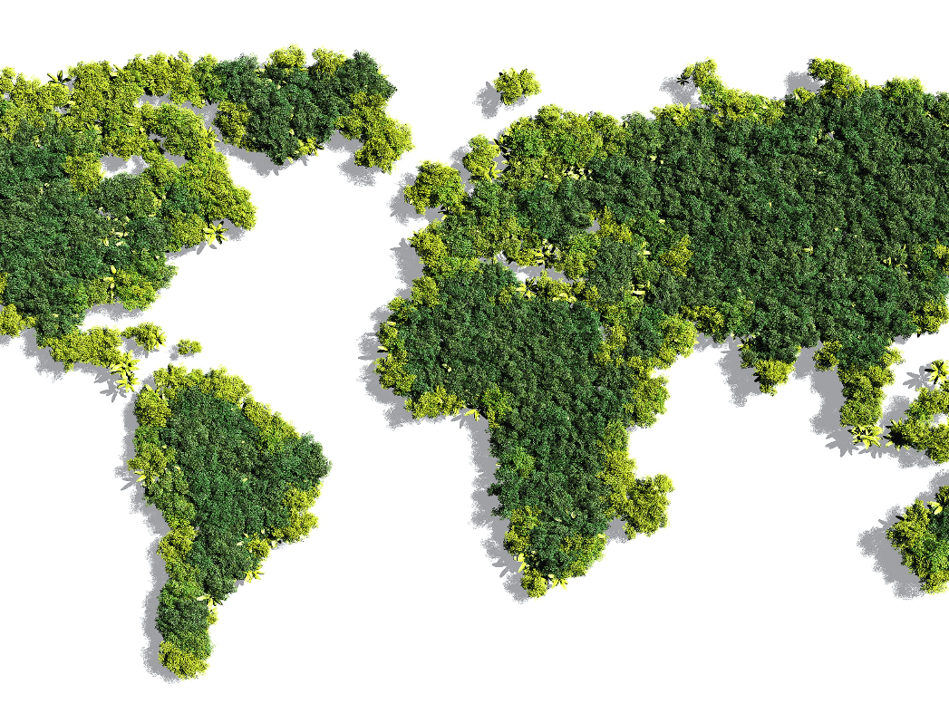 Plant Trees Worldwide with Just a Few Clicks!