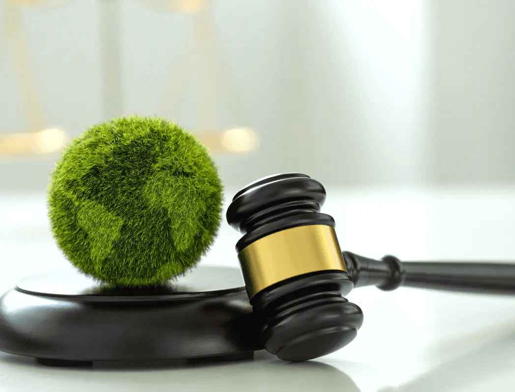 USA vs EU ESG regulations, plus a Q&A with our friends from ICLEI.