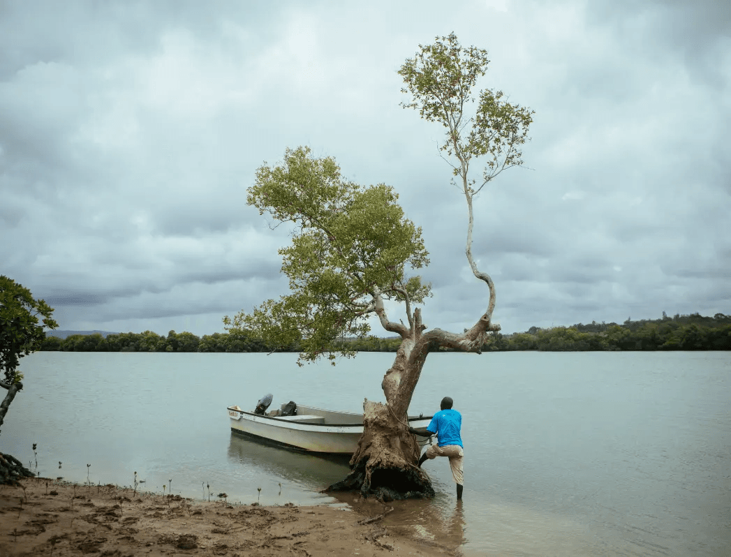 Restoring East African Mangroves for Earth Day and Beyond.
