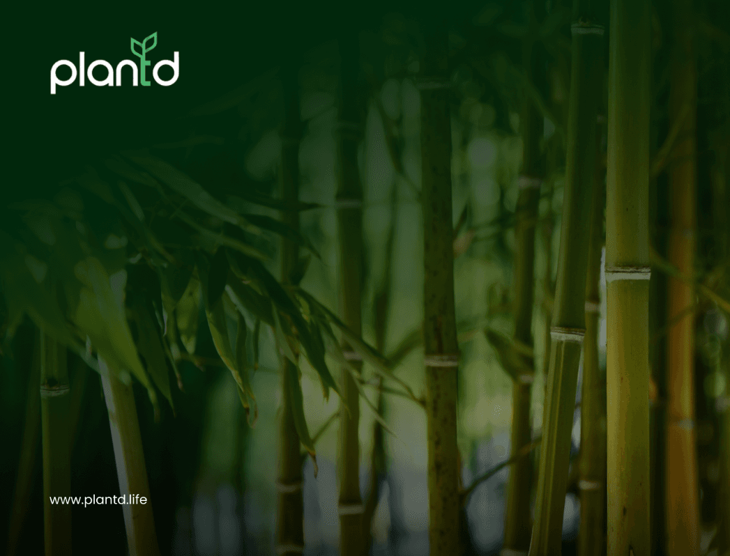 Is Bamboo a Tree or a Grass? The Truth Might Surprise You