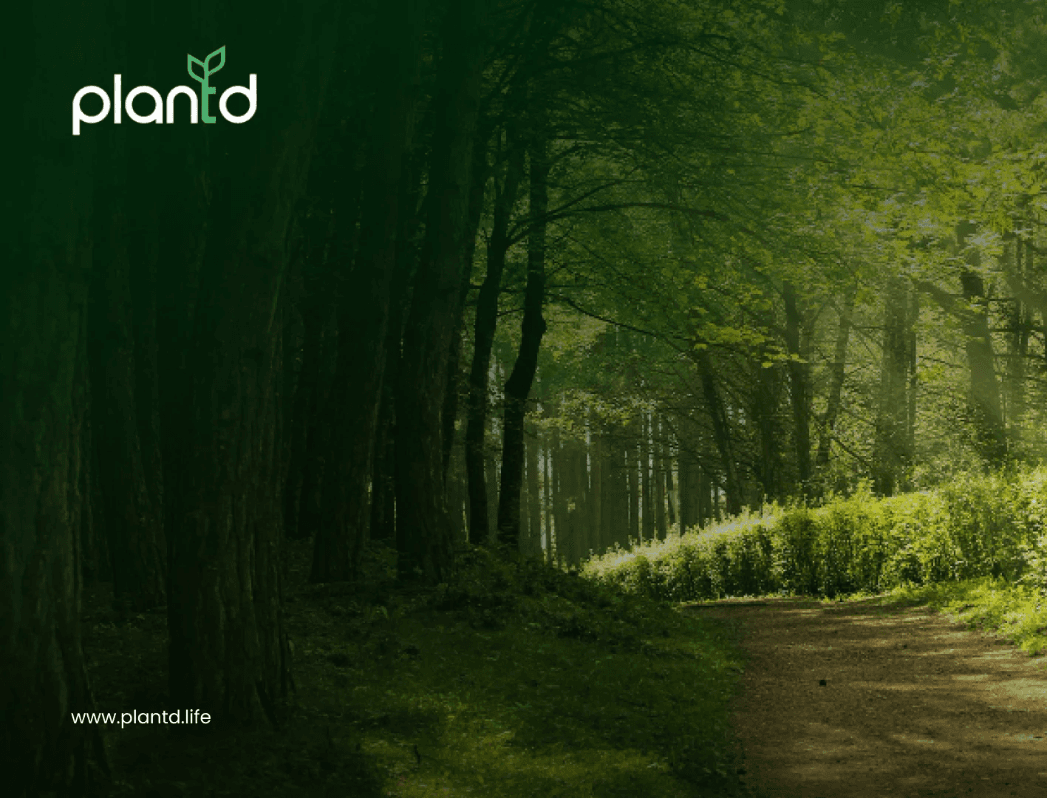 12 Fun Facts About Trees That Will Blow Your Mind