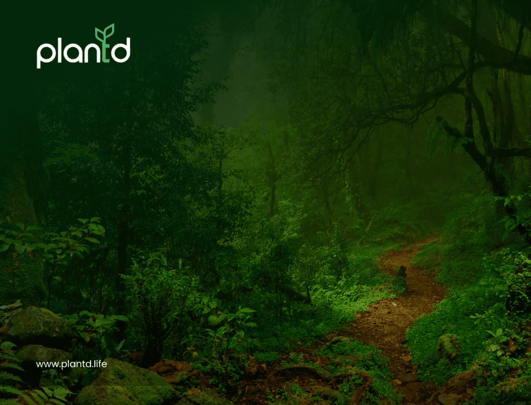 10 Endangered Tree Species You’ve Probably Never Heard Of