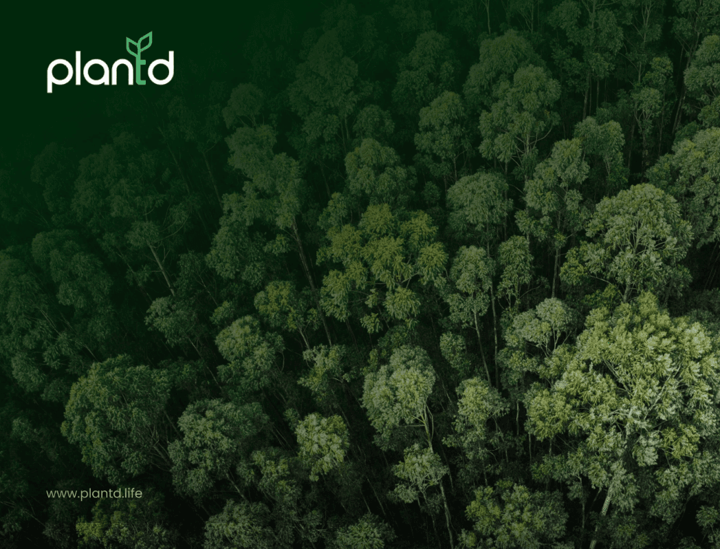 20 Fun and Impactful Earth Day Activities for 2025