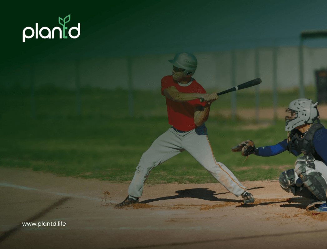 15 Creative Baseball Fundraising Ideas That Bring Home the Win