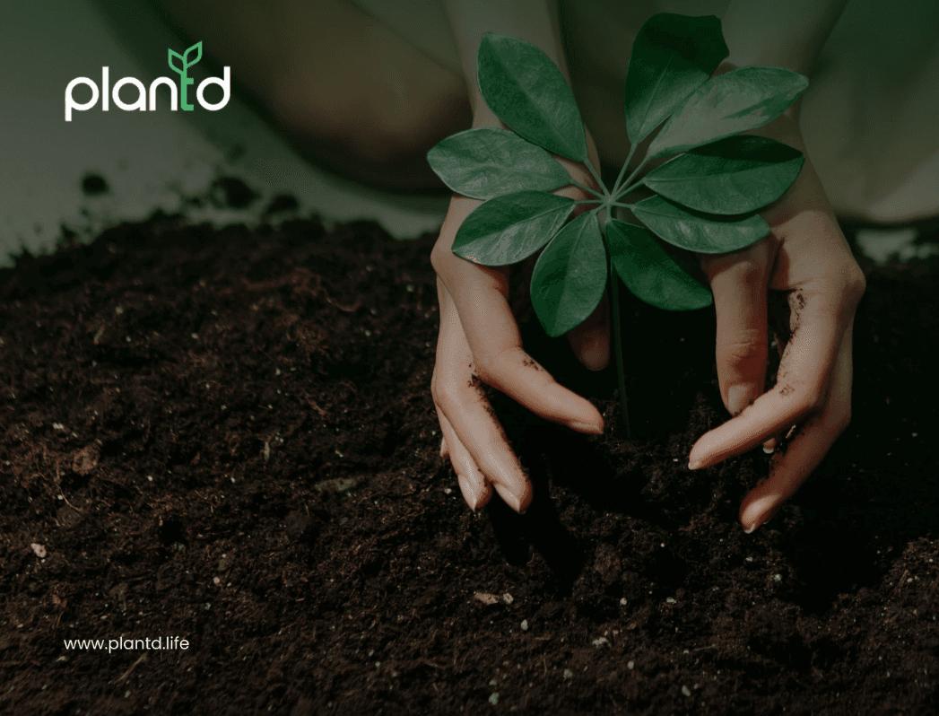 14 Interesting Facts About Mangroves You Probably Didn’t Know