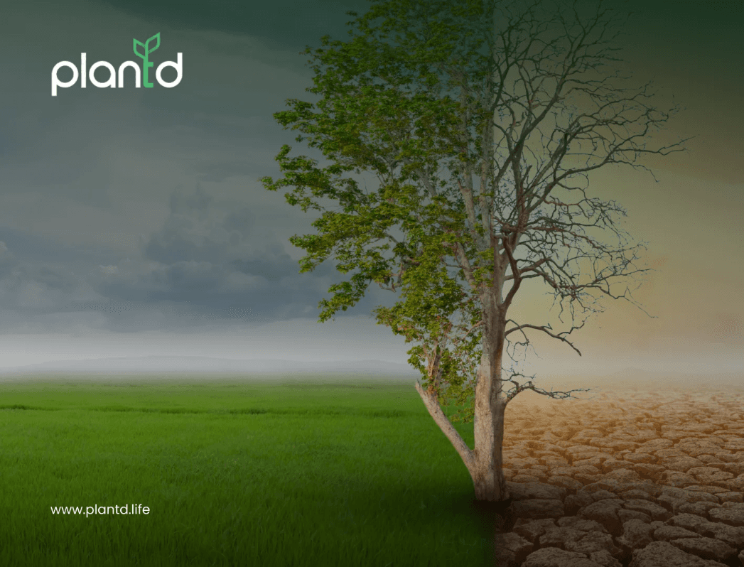 10 Alarming Effects of Climate Change You Should Know