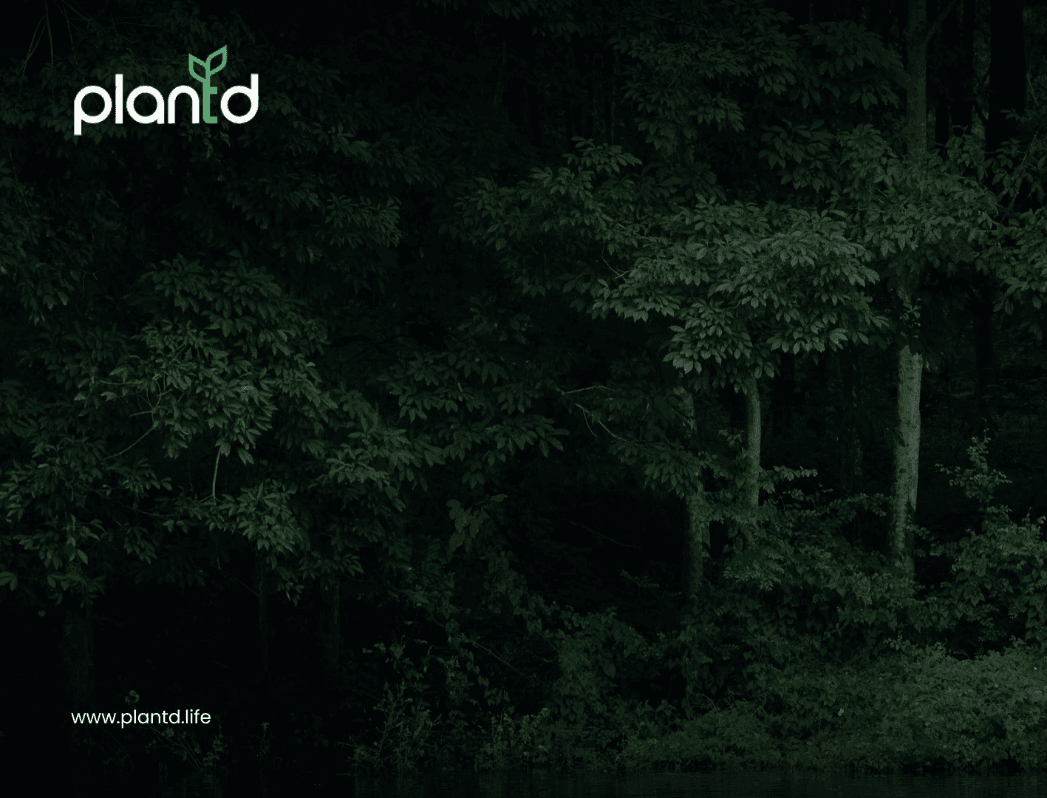 What Is Forest Conservation?