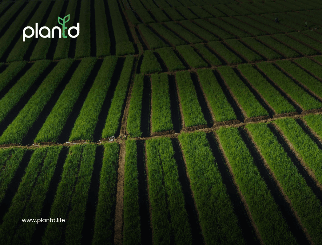 How Does Agroforestry Support Sustainable Farming and Land Use?