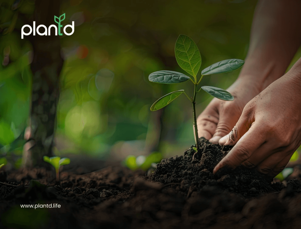 Best Time to Plant Trees: A Seasonal Guide for Healthy Growth