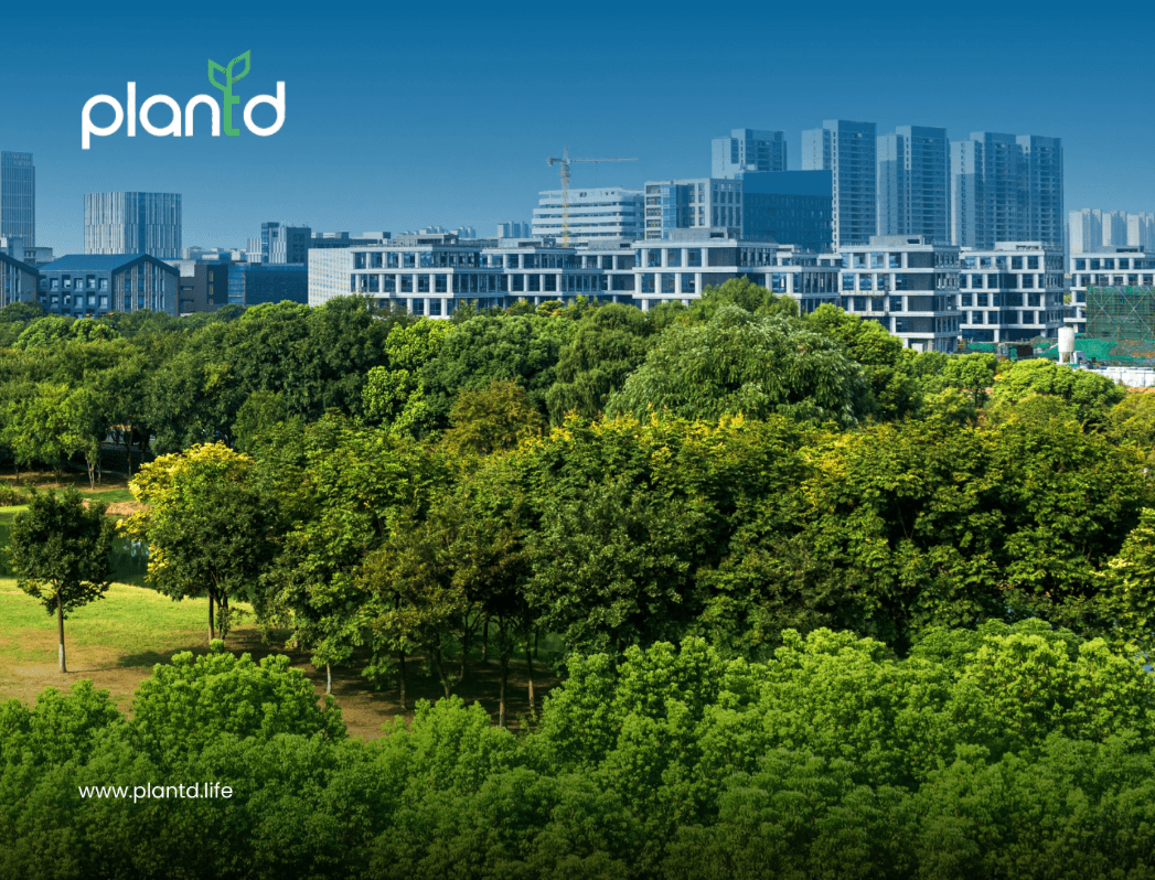 What Is Urban Forestry? The Science Behind Why City Trees Matter