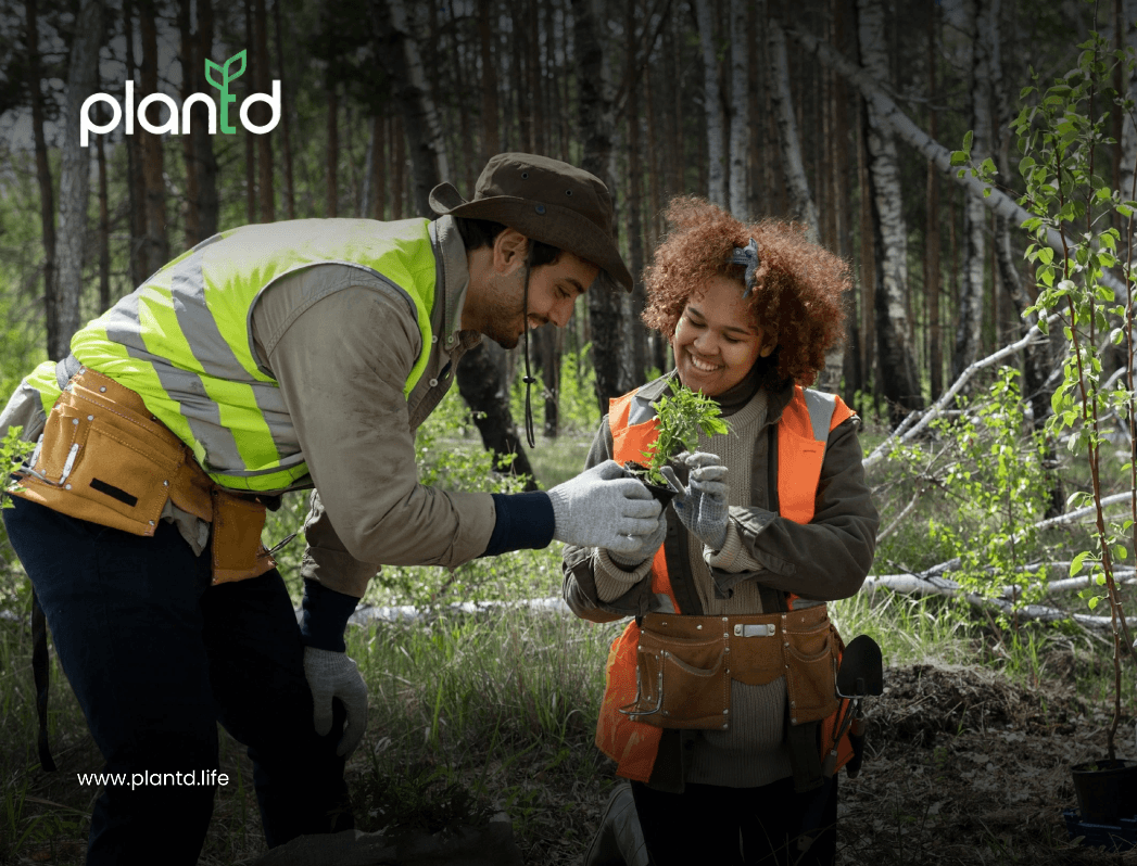 How to Protect Trees During Construction