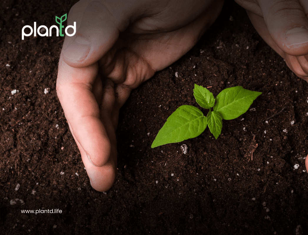 The Importance of Preventive Plant Health Care