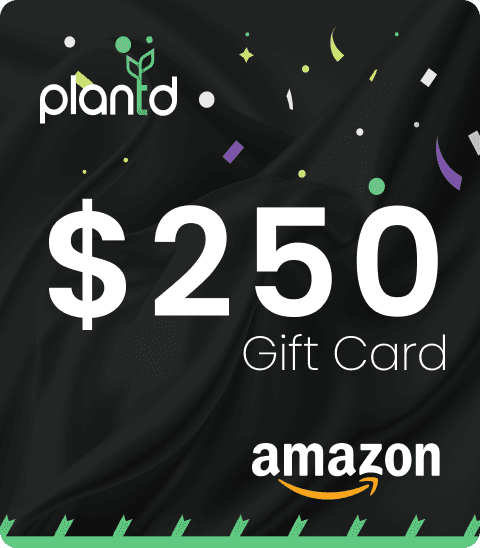 Plantd Giveaway - $250 Gift Card!