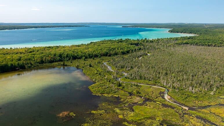 Michigan Terrestrial Restoration Project