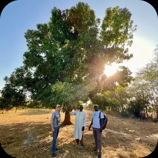 Senegal Agroforestry