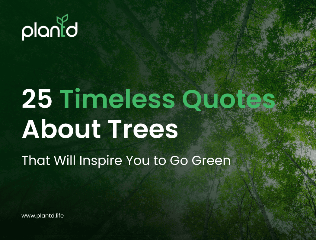 25 Quotes About Trees to Inspire Real Change | Plantd | Plantd