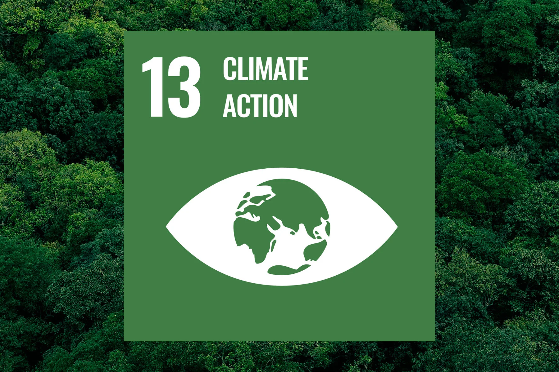 sustainable development goals for climate action