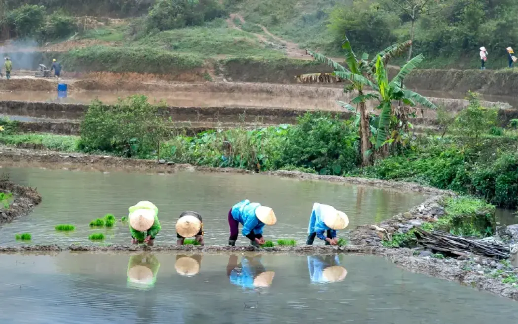 people-planting-img