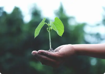 plant-in-hand-img